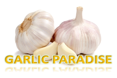 Garlic, with its distinctive aroma and intense flavor, has been used for centuries not only as a culinary staple but also for its remarkable medicinal properties.